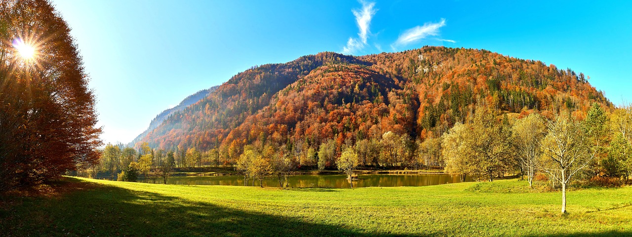 découvrez les zones protégées, des sanctuaires naturels préservés qui abritent une biodiversité unique. explorez leur importance pour la conservation de l'environnement et le bien-être des écosystèmes.