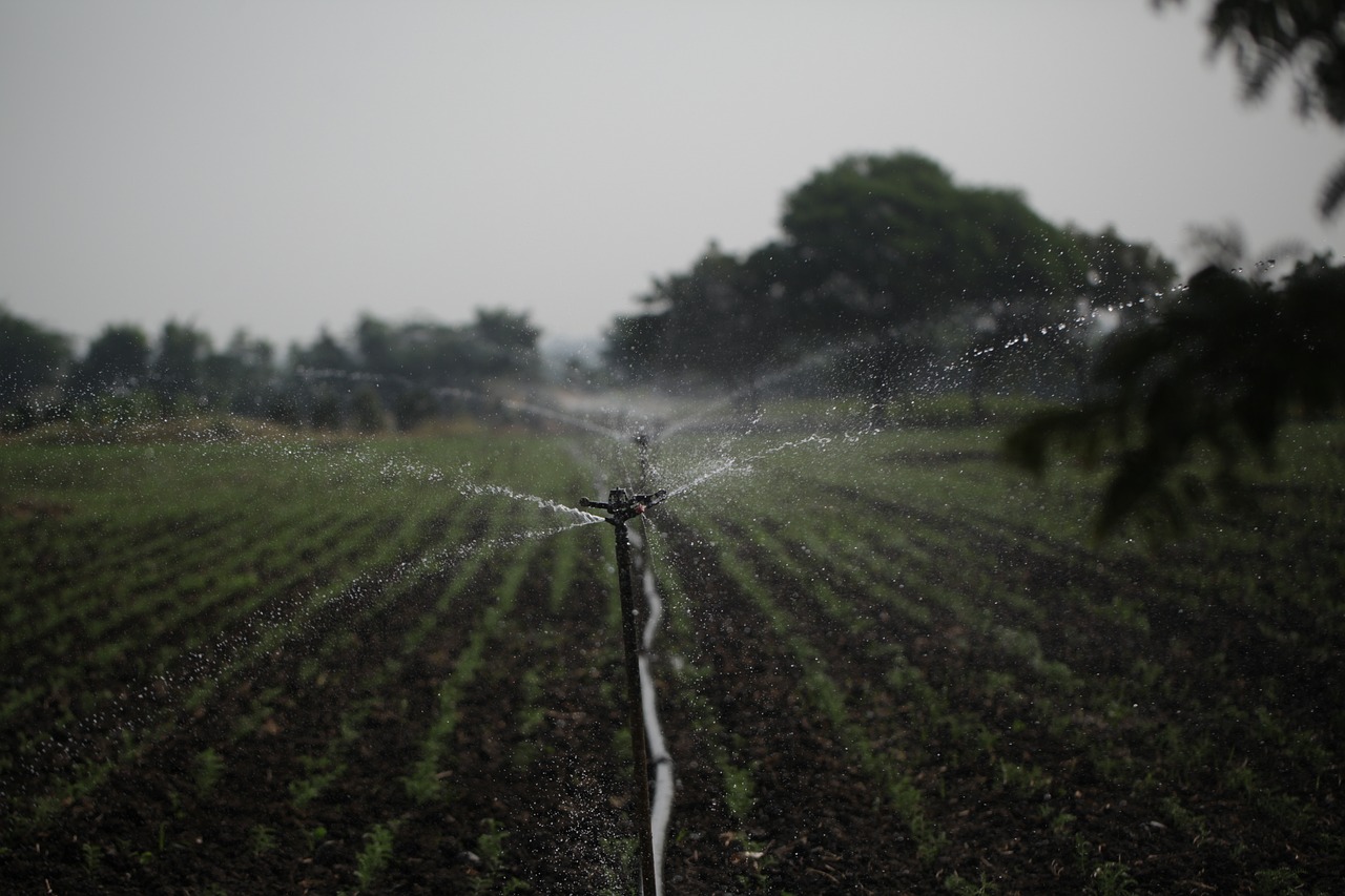 découvrez l'importance de la conservation de l'eau pour la planète et nos vies. apprenez des astuces simples et efficaces pour réduire votre consommation d'eau au quotidien et préserver cette ressource précieuse pour les générations futures.