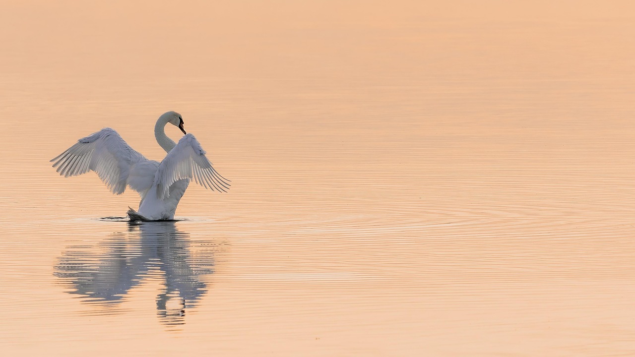 découvrez l'importance de la conservation de l'eau pour préserver notre planète. apprenez des stratégies efficaces et des conseils pratiques pour réduire votre consommation d'eau au quotidien et contribuer à un avenir durable.