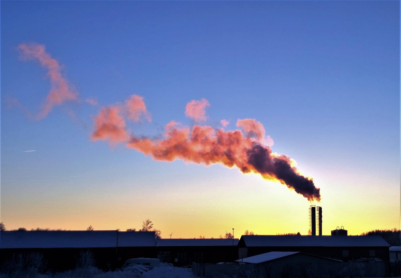 découvrez les enjeux de la dégradation environnementale, ses causes et ses conséquences sur notre planète. informez-vous sur les solutions durables pour préserver notre écosystème et lutter contre la dégradation de notre environnement.