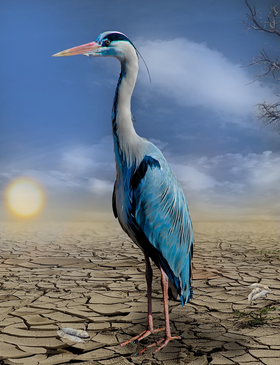 découvrez les enjeux majeurs du changement climatique, ses impacts sur notre planète et les actions que nous pouvons entreprendre pour préserver notre environnement pour les générations futures.