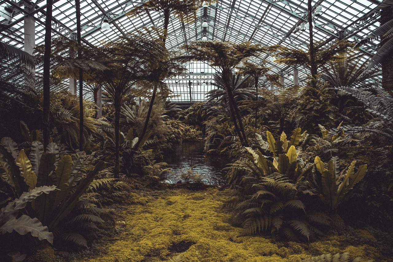 découvrez les enjeux et les stratégies de la gouvernance environnementale, un ensemble de pratiques visant à protéger nos ressources naturelles tout en impliquant les acteurs publics et privés pour un développement durable.