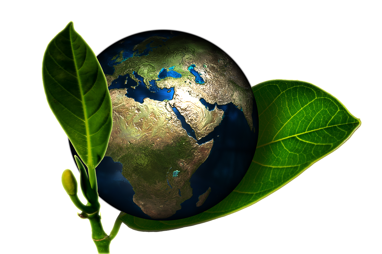 découvrez comment chacun peut contribuer à la protection de notre planète grâce à des actions écoresponsables. apprenez des conseils pratiques pour assumer votre responsabilité environnementale au quotidien.