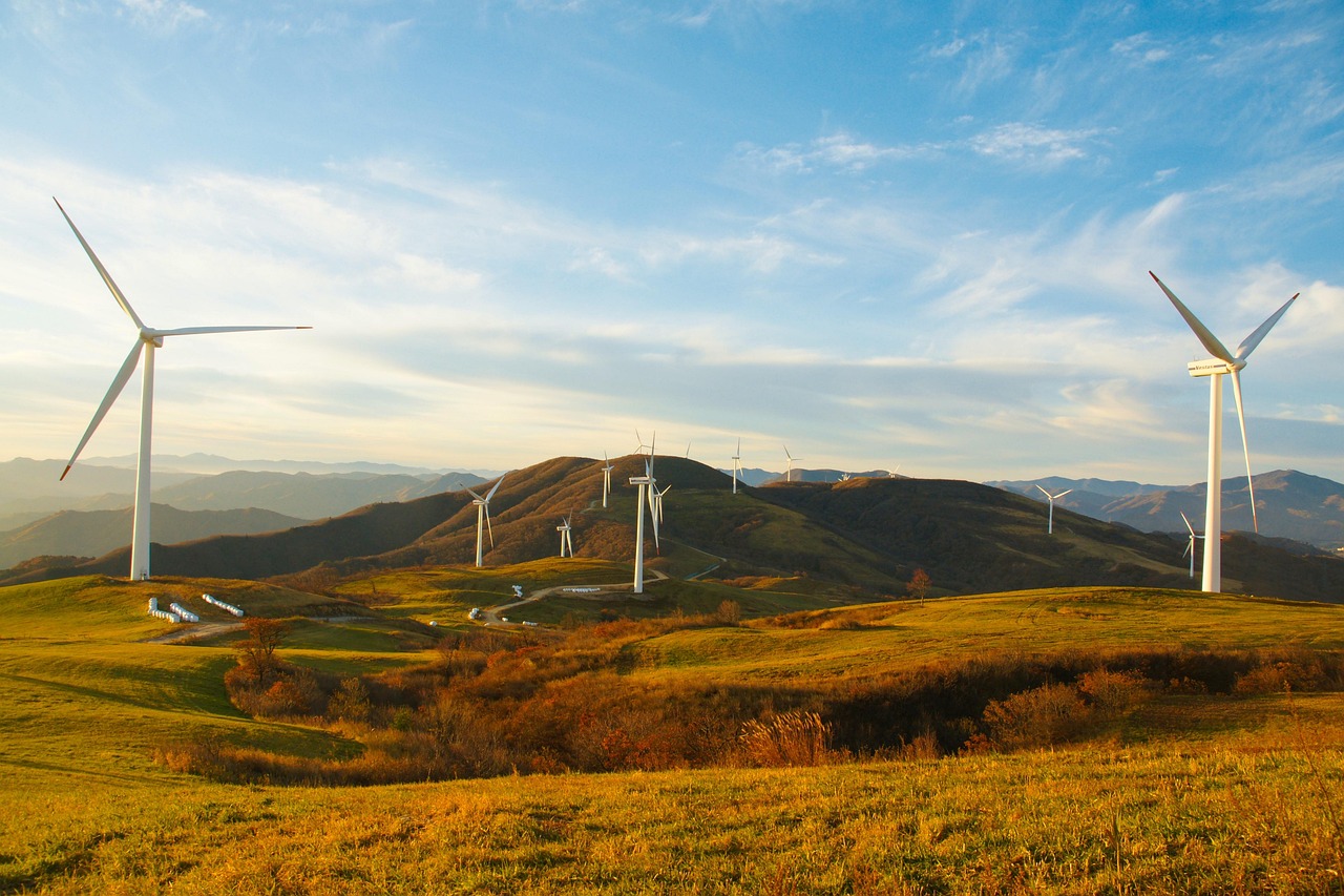 découvrez des solutions durables pour un avenir respectueux de l'environnement. adoptez un mode de vie éco-responsable et explorez nos conseils pratiques pour réduire votre empreinte carbone tout en préservant notre planète.