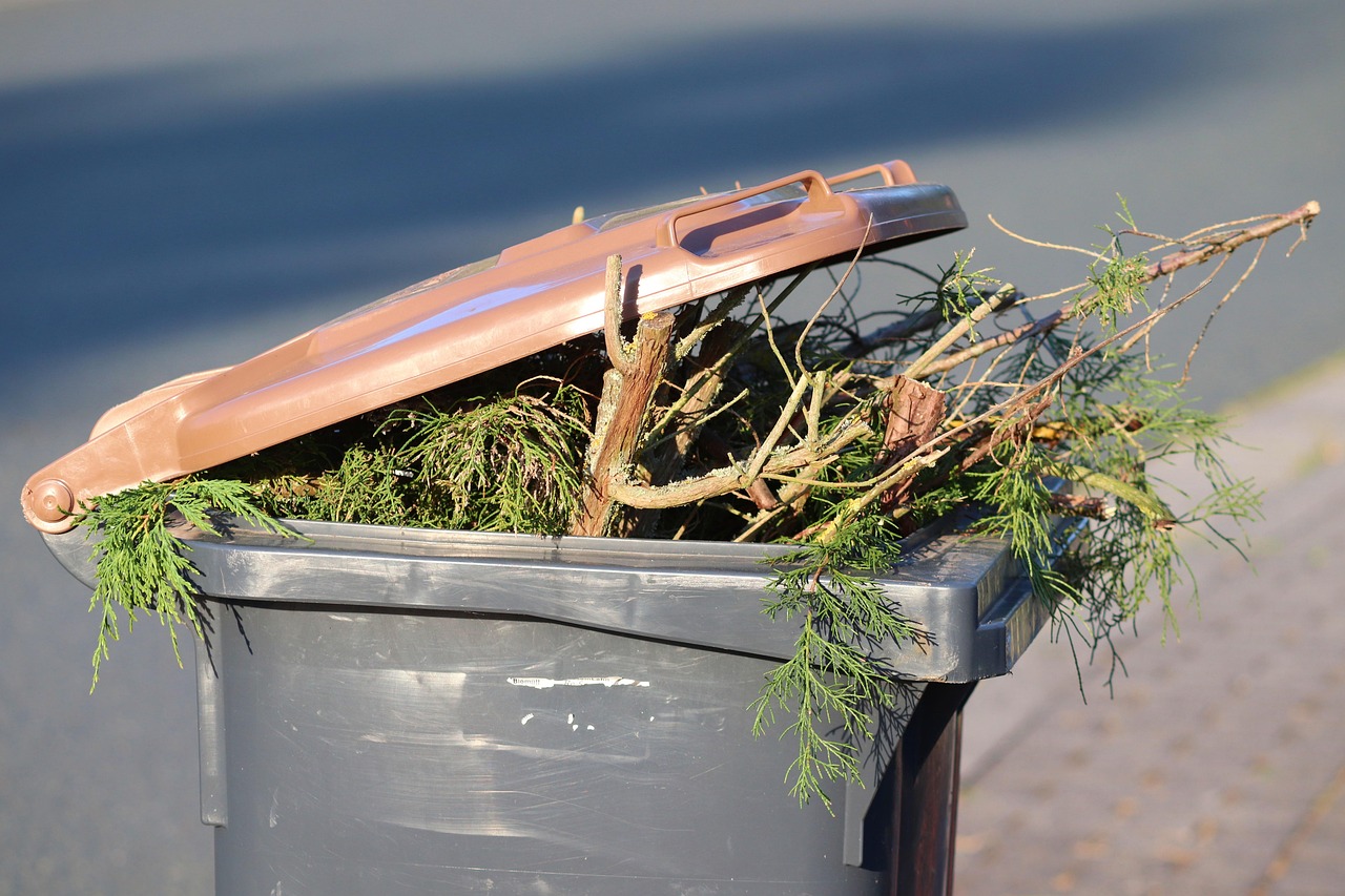 découvrez des stratégies efficaces de réduction des déchets pour un avenir plus durable. apprenez comment minimiser votre impact environnemental et adopter des pratiques écoresponsables au quotidien.