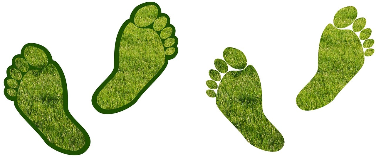 découvrez comment réduire votre empreinte carbone et contribuer à un environnement plus sain. nos conseils pratiques et solutions innovantes vous aideront à minimiser l'impact de vos activités sur la planète.