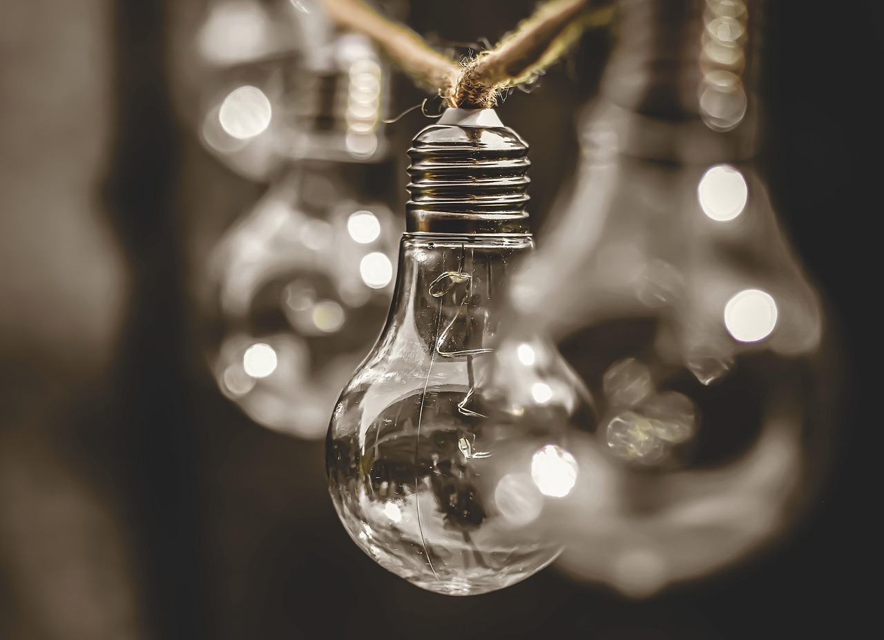 découvrez les enjeux de la durabilité et explorez des solutions innovantes pour un avenir écologique, alliant respect de l'environnement et développement responsable.
