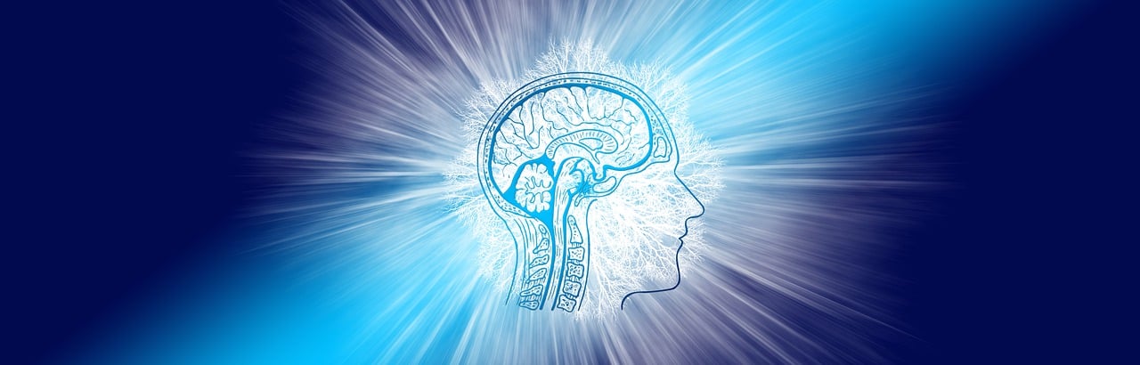 découvrez comment la collective intelligence transforme la collaboration et l'innovation au sein des équipes. explorez les méthodes et outils qui maximisent le potentiel de chaque membre pour atteindre des résultats exceptionnels.