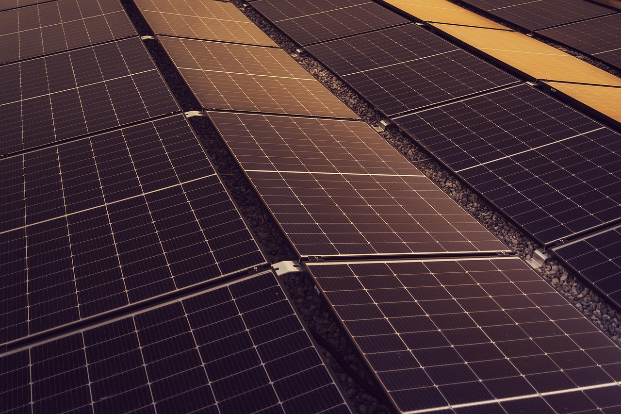 découvrez les enjeux de la durabilité, des pratiques écologiques aux initiatives responsables. explorez comment chaque geste compte pour un avenir plus vert et une planète préservée.