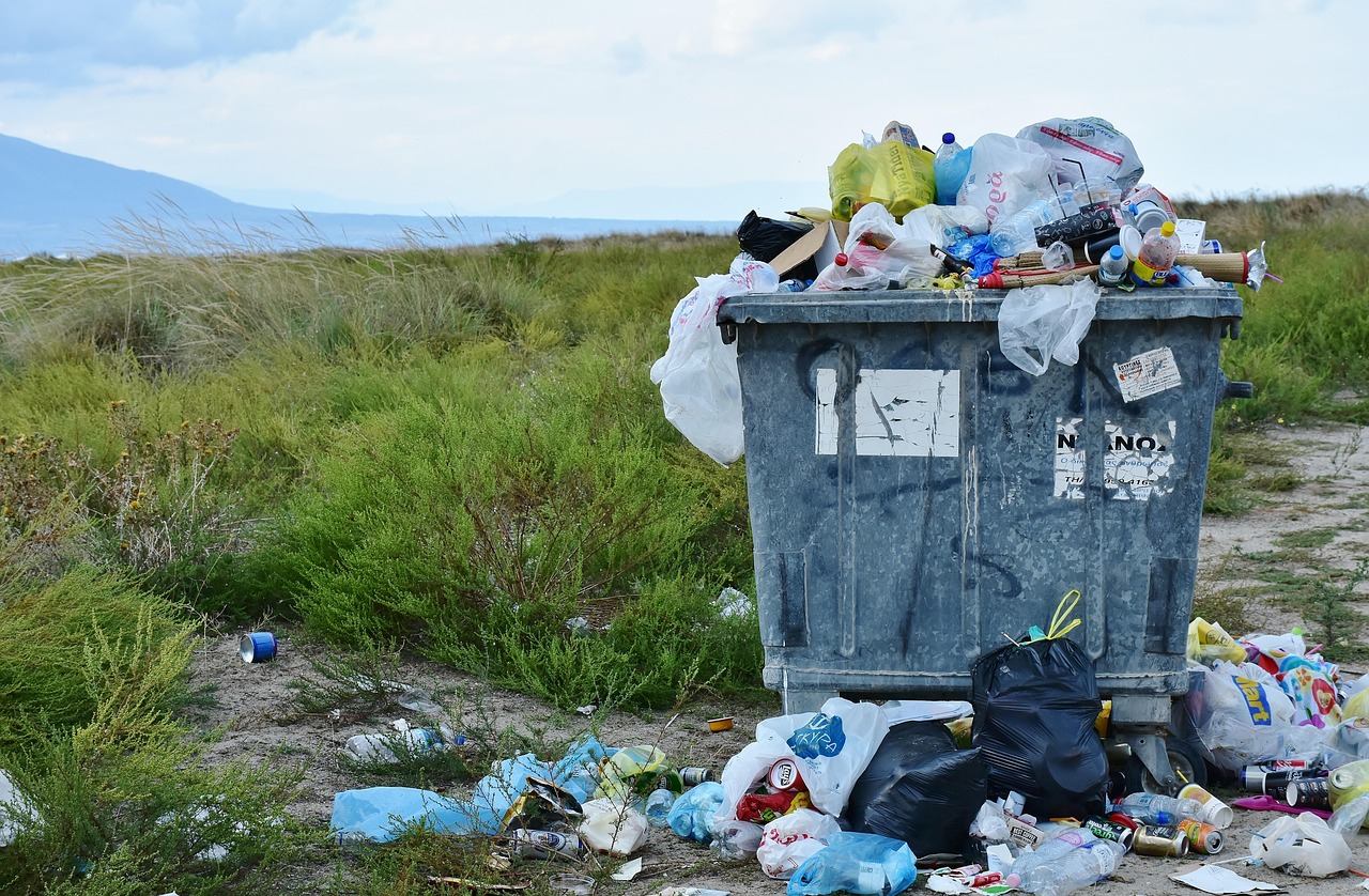 découvrez le mouvement zéro déchet : adoptez des pratiques écologiques pour réduire vos déchets au quotidien, économiser de l'argent et préserver notre planète. rejoignez-nous dans cette démarche durable et apprenez à vivre avec moins tout en ayant un impact positif !