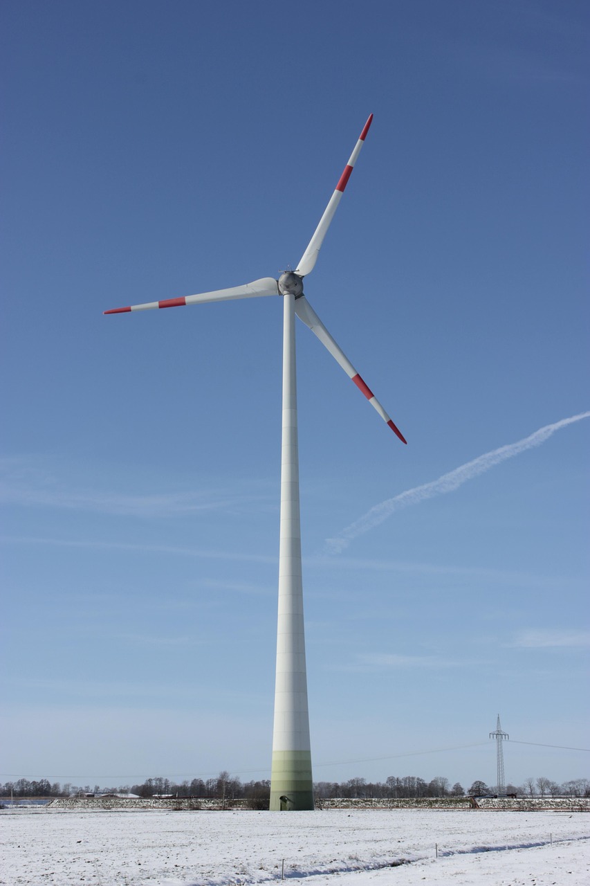 découvrez les principes et pratiques de la durabilité pour préserver l'environnement, favoriser une économie responsable et assurer un avenir durable pour les générations futures.