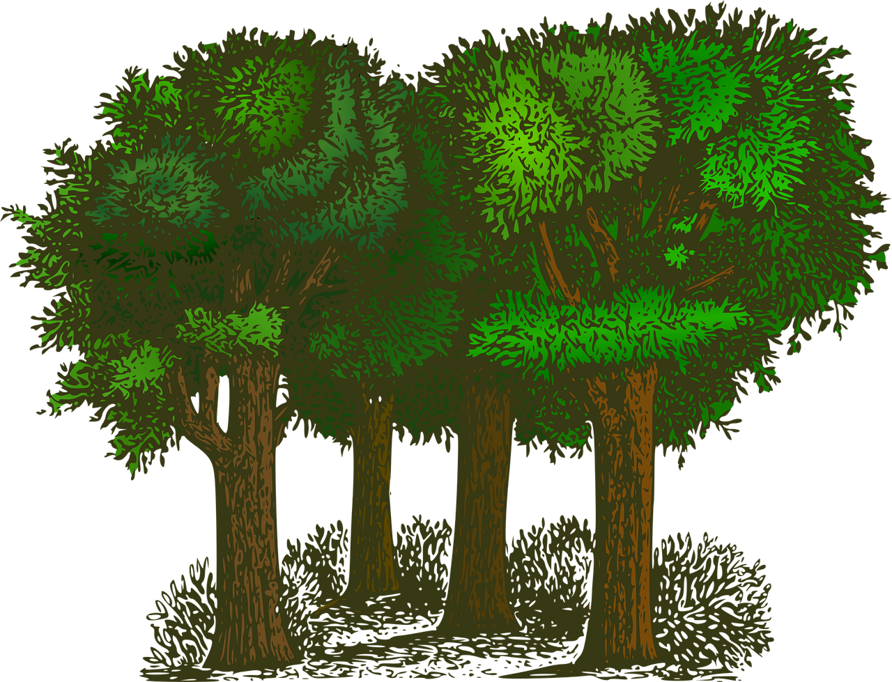 découvrez l'écologie : enjeux, solutions et conseils pour protéger l'environnement, préserver la biodiversité et adopter des gestes écoresponsables au quotidien.