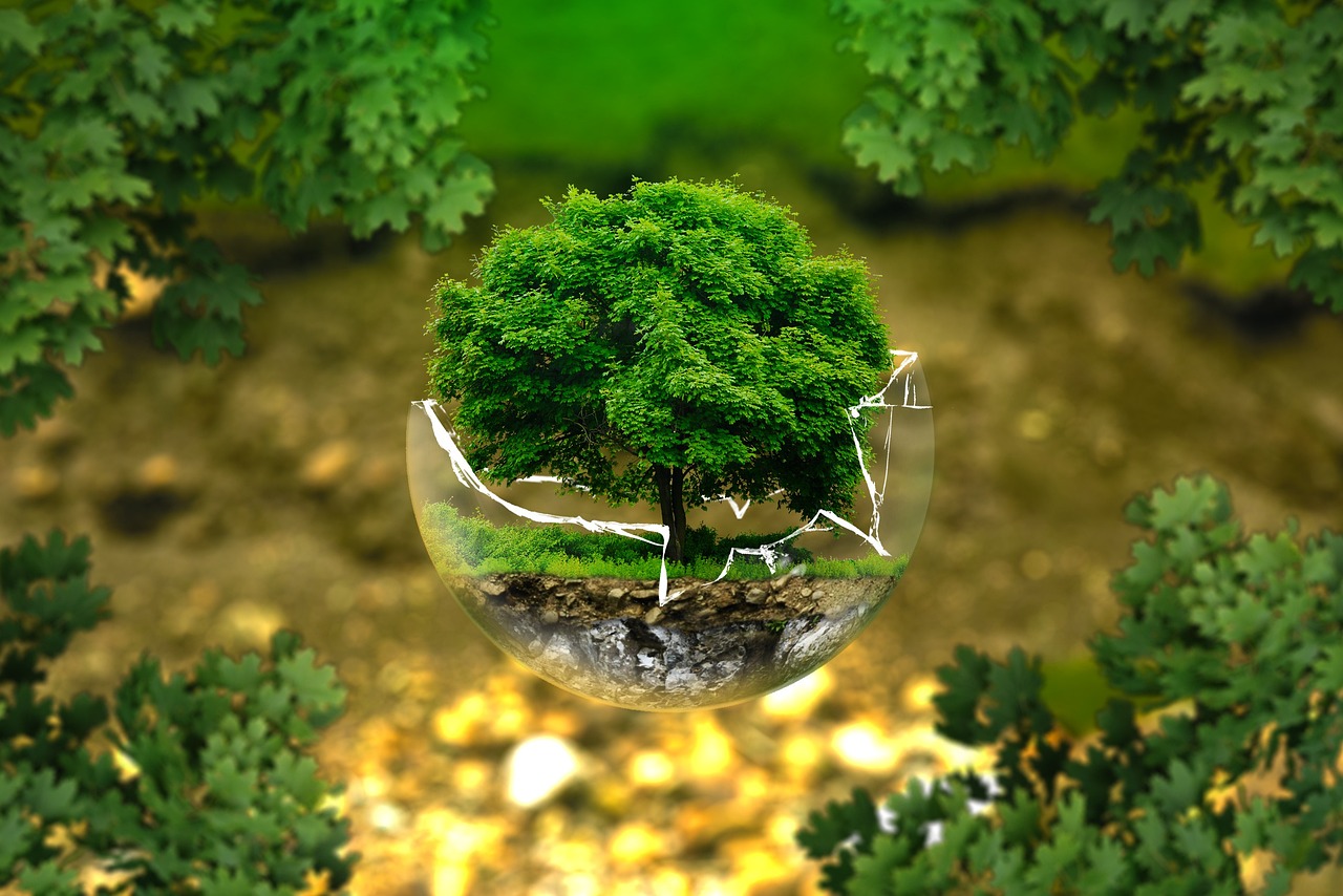 découvrez les foires environnementales, des événements dédiés à la sensibilisation, la promotion des solutions écologiques et à la rencontre des acteurs engagés pour un avenir plus vert.