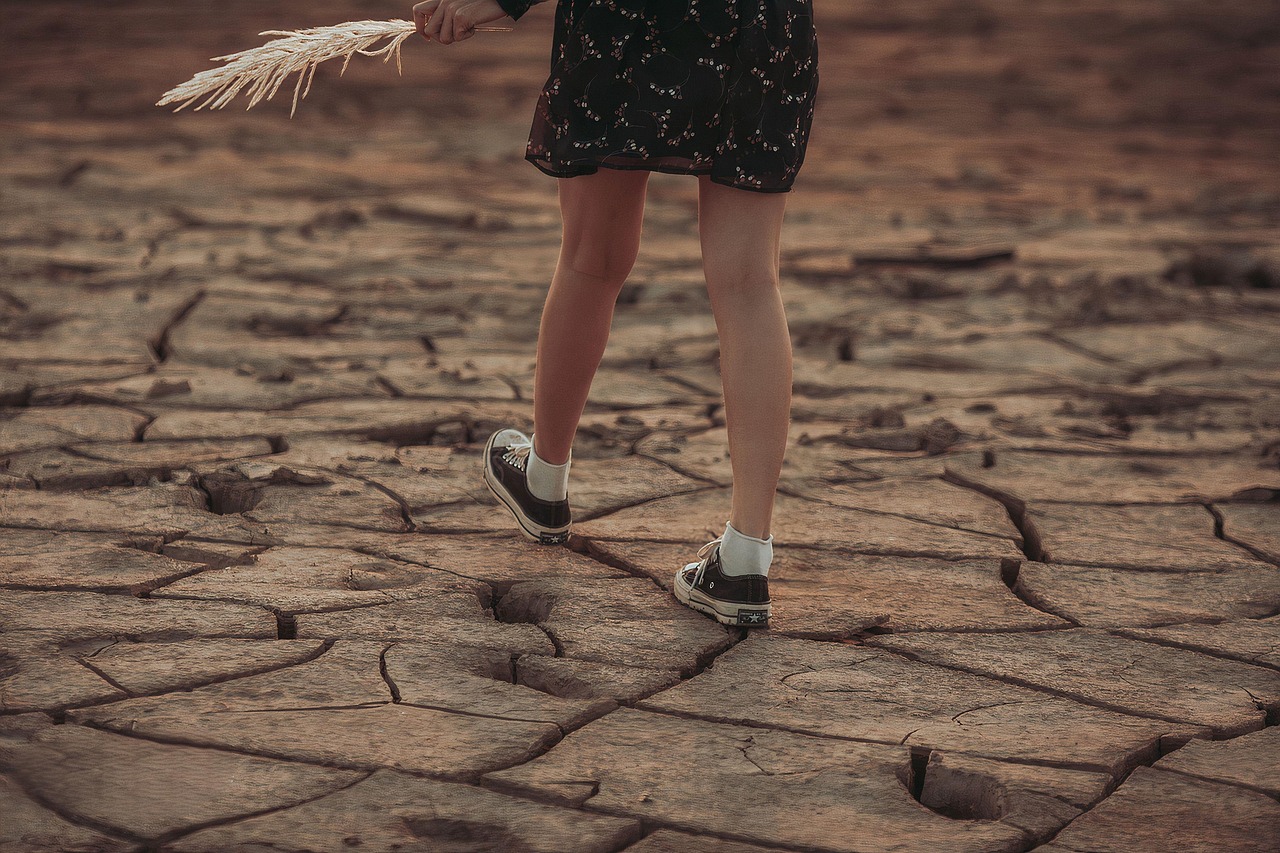 découvrez les causes, conséquences et solutions au changement climatique. informez-vous sur l'impact du réchauffement planétaire et les actions pour préserver notre planète.