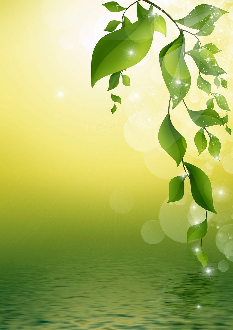découvrez des informations essentielles sur l'écologie : principes, enjeux, actions et conseils pour préserver la planète et adopter un mode de vie durable.