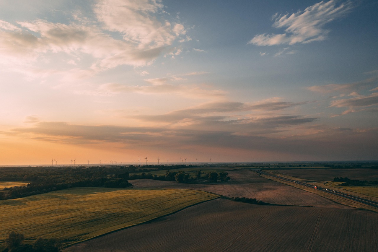 découvrez comment adopter des pratiques durables pour protéger l'environnement, réduire votre empreinte écologique et contribuer à un avenir plus vert grâce à nos conseils sur la sustainability.