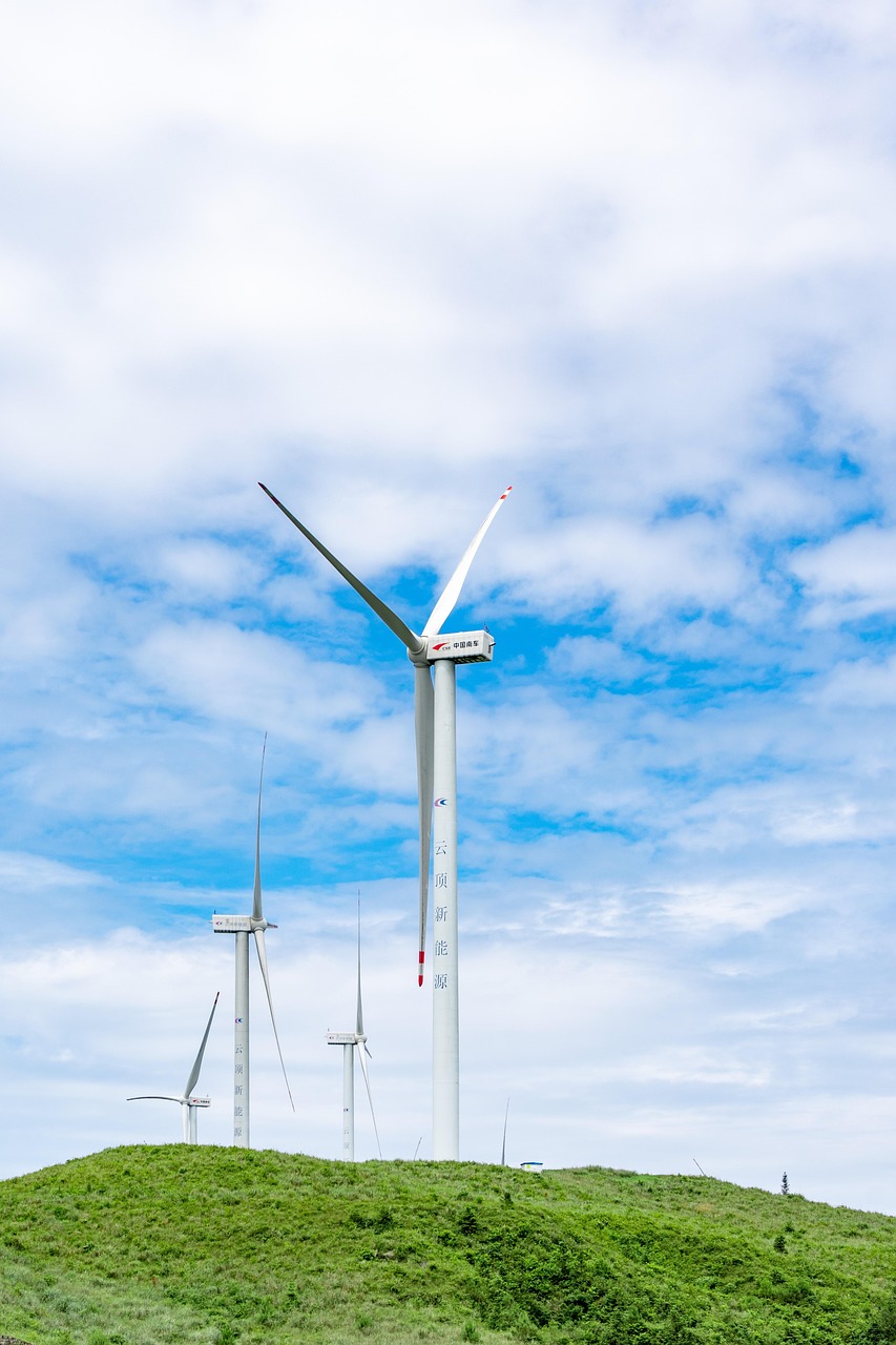 découvrez le développement durable : ses principes, ses enjeux et les actions à adopter pour un avenir respectueux de l’environnement et des générations futures.