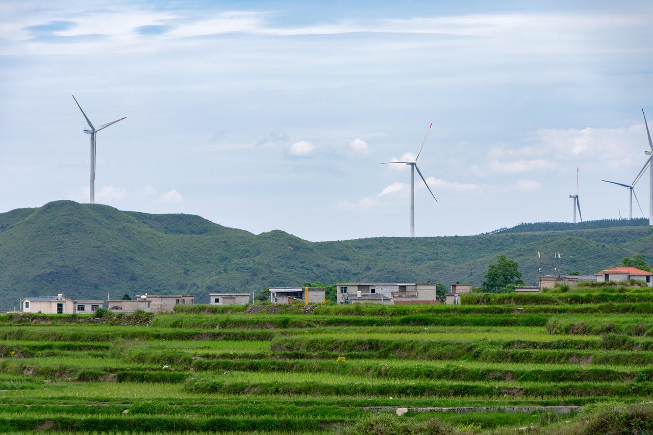 découvrez le développement durable : un modèle de croissance respectueux de l’environnement, des ressources et des générations futures. apprenez-en plus sur les enjeux, les objectifs et les solutions pour un avenir responsable.