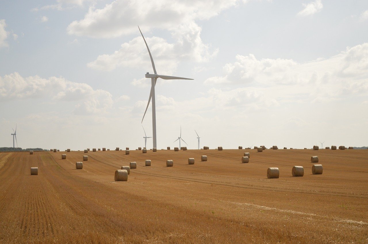 découvrez les principes et avantages de l'investissement durable : comment placer votre argent de manière responsable pour soutenir l'environnement, la société et générer des rendements sur le long terme.