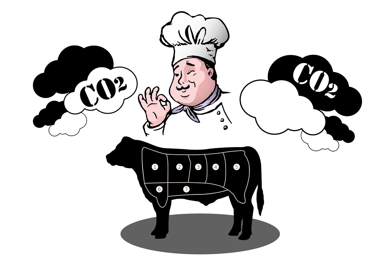 découvrez les causes et les conséquences des inégalités d’empreinte carbone, ainsi que des solutions pour réduire l’écart entre différents groupes et mieux préserver l’environnement.