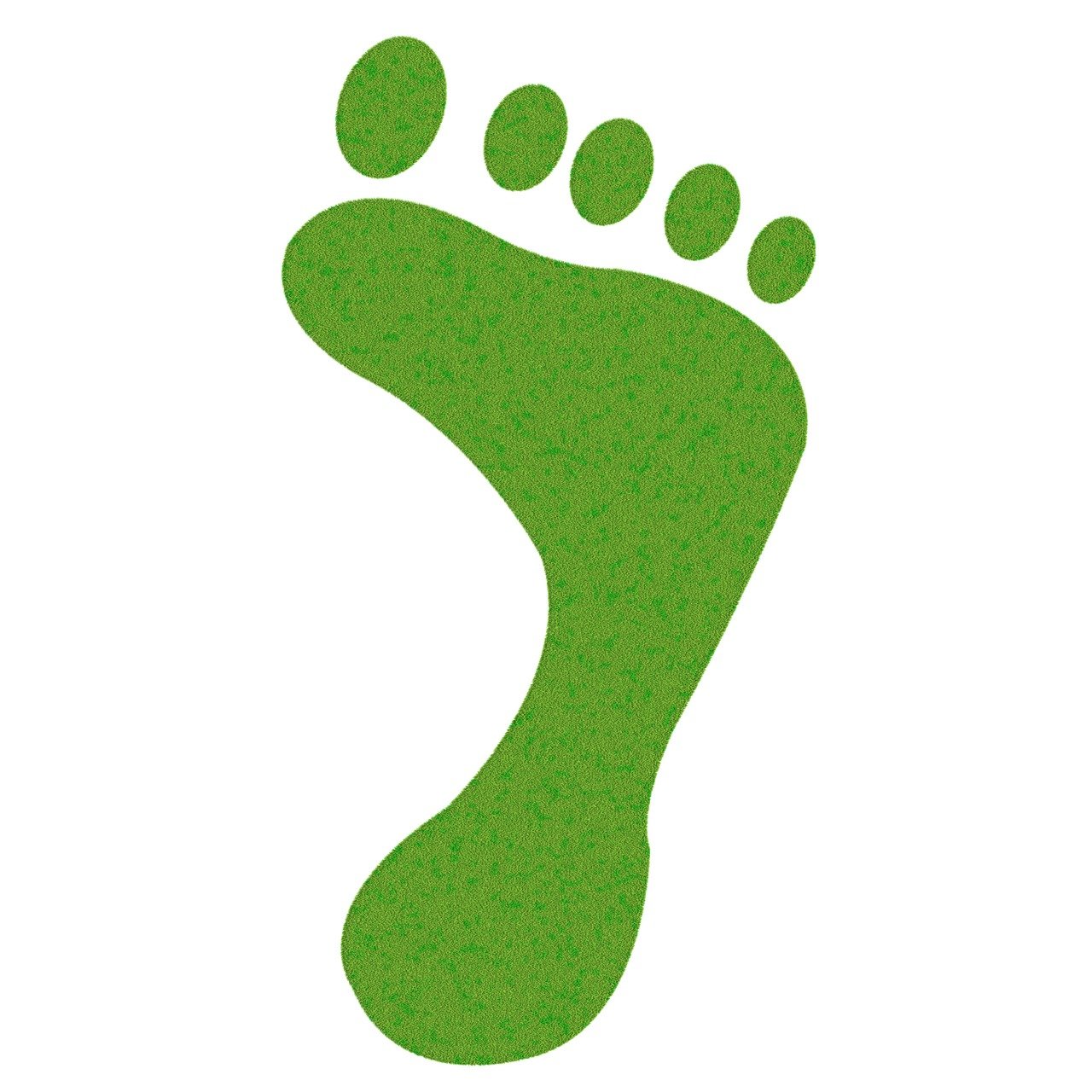 découvrez ce qu'est l'empreinte carbone, son importance pour l'environnement, comment la calculer et des conseils pratiques pour la réduire au quotidien.