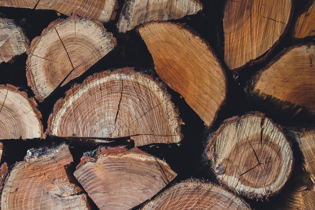 découvrez les principes et avantages de l’économie circulaire, une approche innovante visant à réduire les déchets et à favoriser la réutilisation des ressources pour un développement durable.