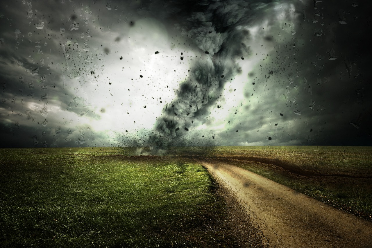 découvrez les principales initiatives contre le changement climatique : stratégies, actions innovantes et engagements à travers le monde pour préserver notre planète et assurer un avenir durable.