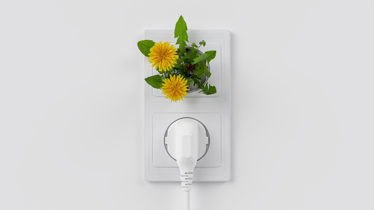 découvrez ce qu'est la transition écologique, son importance pour l'avenir de la planète et les actions à mettre en place pour adopter un mode de vie durable et respectueux de l'environnement.