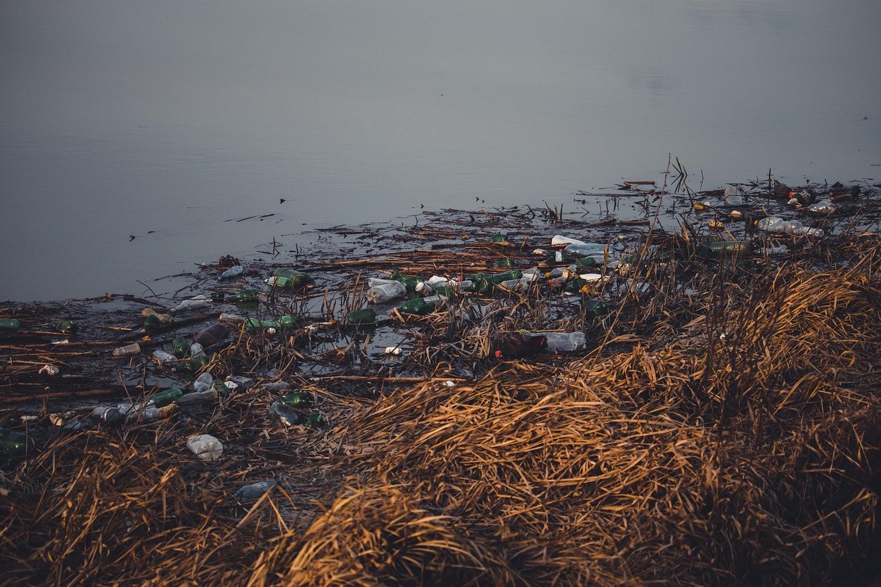 découvrez comment le recyclage du plastique contribue à la préservation de l’environnement, les différentes méthodes utilisées et les avantages écologiques pour un avenir durable.