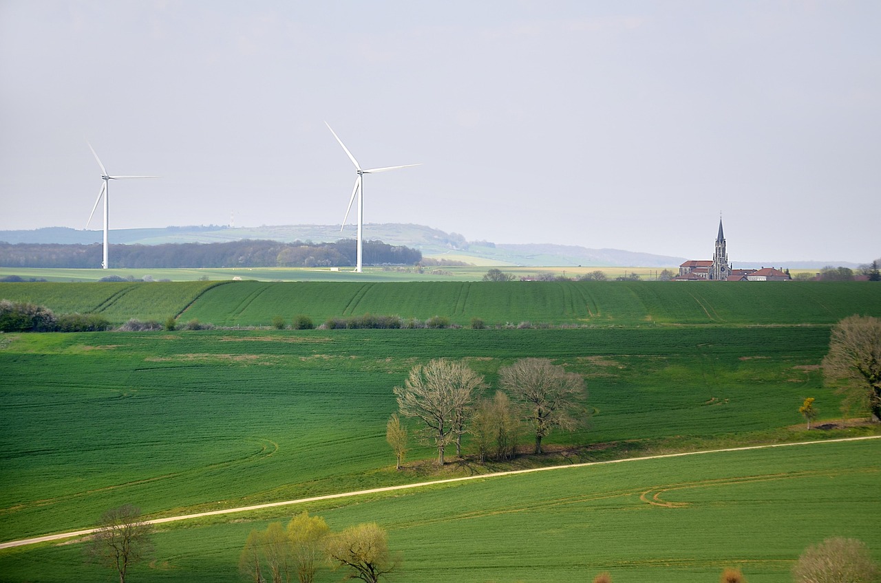découvrez les principes et enjeux du développement durable : protéger l’environnement, favoriser l’équité sociale et soutenir une croissance économique respectueuse des générations futures.