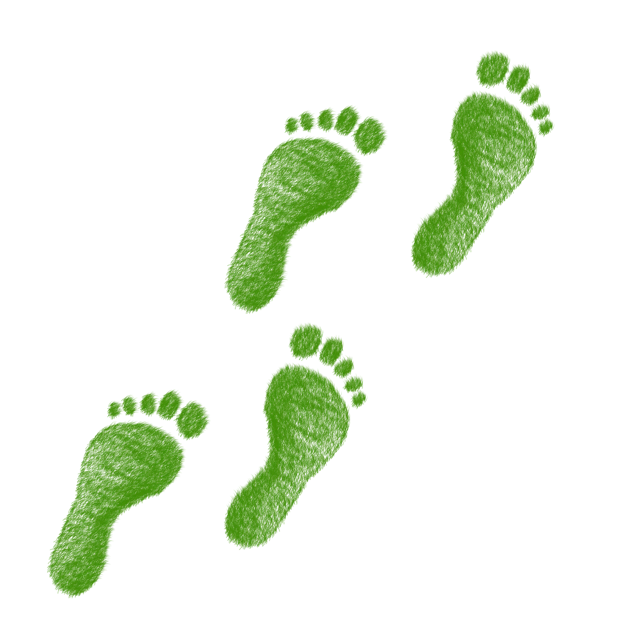 d&eacute;couvrez ce qu'est l'empreinte &eacute;cologique, son impact sur notre plan&egrave;te et comment r&eacute;duire votre influence environnementale au quotidien.