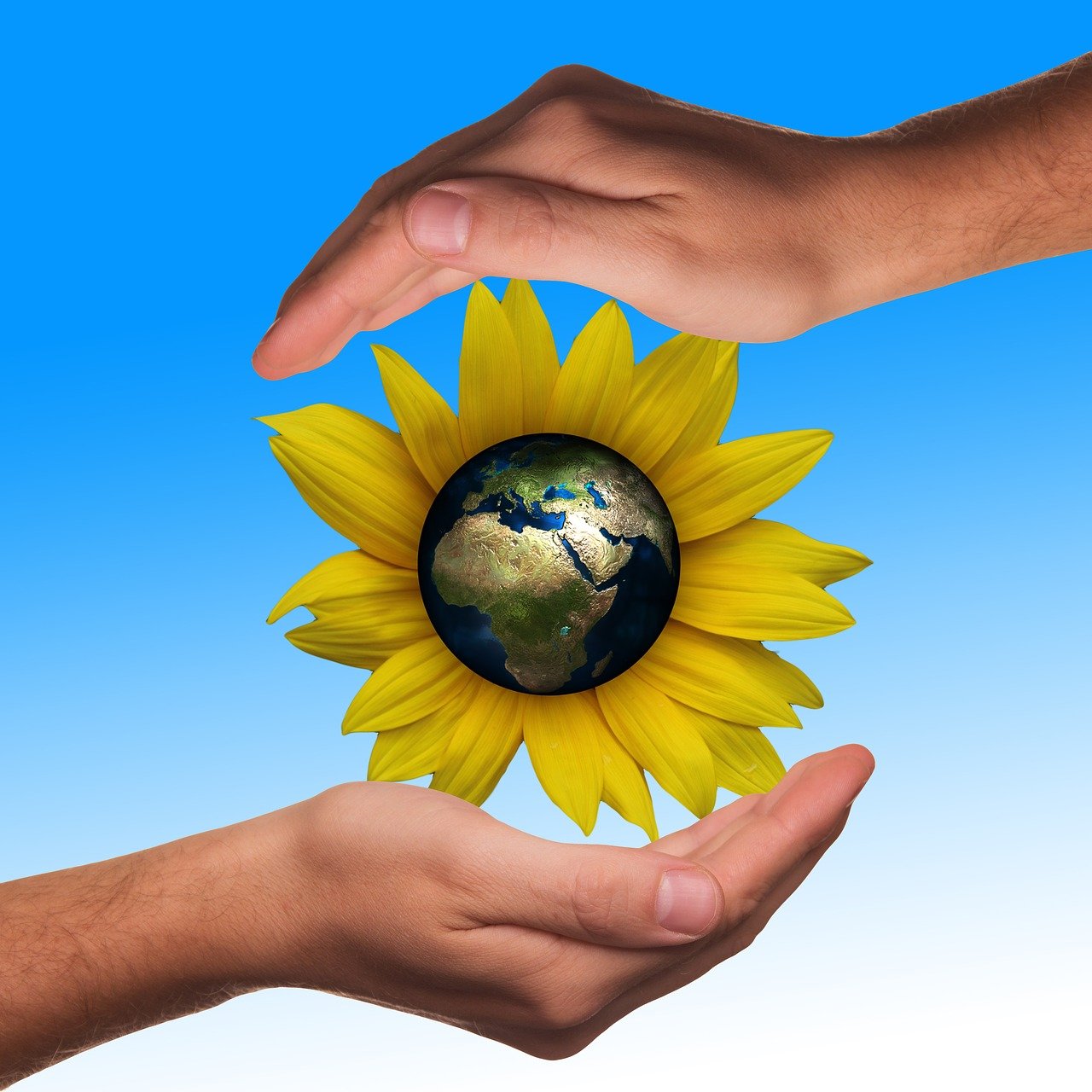 découvrez notre emballage écologique, une solution durable et respectueuse de l'environnement pour conserver vos aliments tout en réduisant les déchets plastiques.