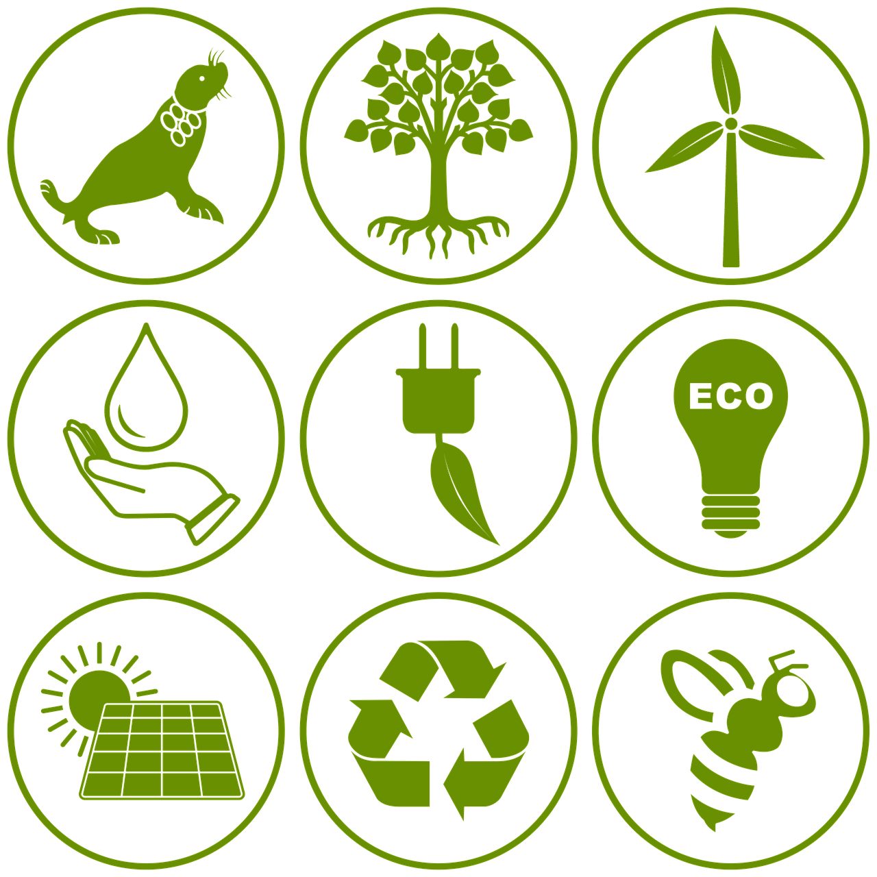 d&eacute;couvrez les pratiques et strat&eacute;gies pour promouvoir la durabilit&eacute; environnementale et pr&eacute;server les ressources naturelles pour les g&eacute;n&eacute;rations futures.