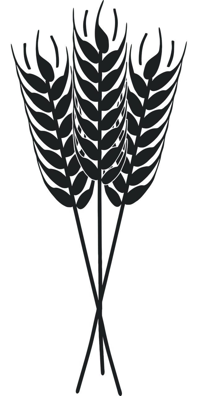 découvrez les pratiques d'agriculture durable qui préservent les ressources naturelles, favorisent la biodiversité et assurent une production alimentaire responsable pour les générations futures.