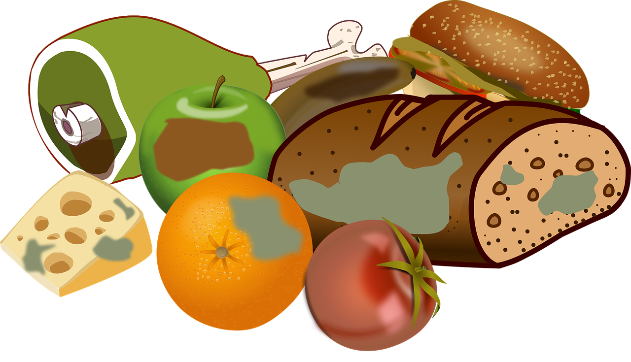 d&eacute;couvrez des conseils et solutions pour r&eacute;duire le gaspillage alimentaire et adopter une consommation responsable.