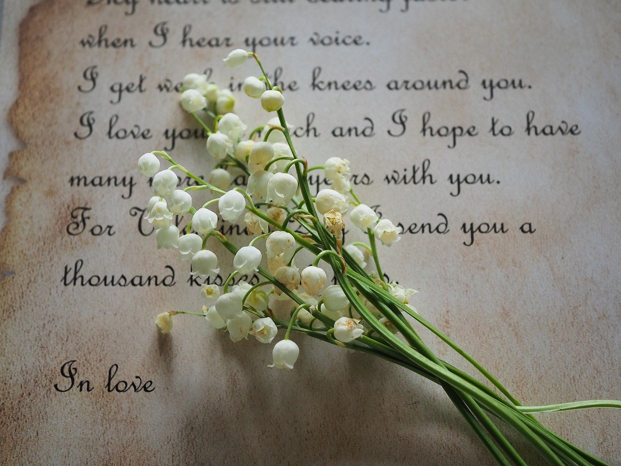 d&eacute;couvrez le muguet, une fleur d&eacute;licate au parfum subtil, symbole de bonheur et de renouveau au printemps.