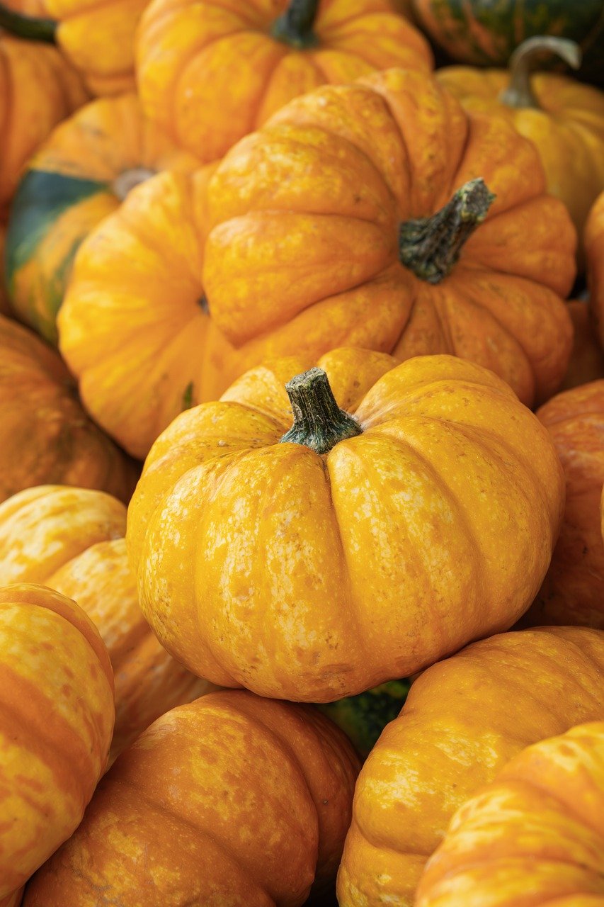 d&eacute;couvrez l'impact des fruits et l&eacute;gumes biologiques sur la sant&eacute;, l'environnement et le bien-&ecirc;tre global.