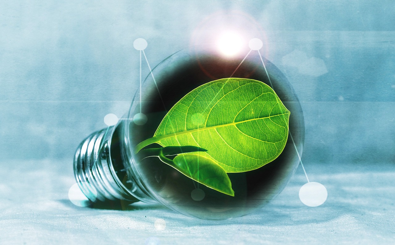 d&eacute;couvrez les enjeux et solutions de la transition &eacute;nerg&eacute;tique pour un avenir durable et respectueux de l'environnement.