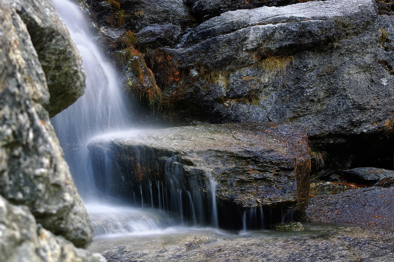 d&eacute;couvrez des informations et des conseils essentiels sur l'environnement pour prot&eacute;ger notre plan&egrave;te et promouvoir un d&eacute;veloppement durable.