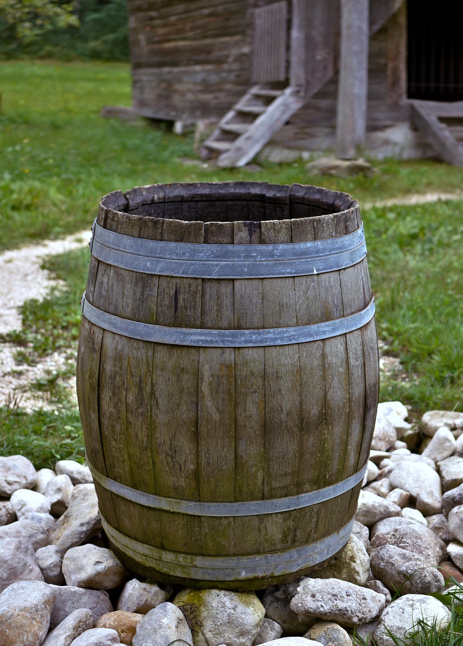 d&eacute;couvrez les techniques et avantages de la collecte des eaux de pluie pour &eacute;conomiser l'eau, r&eacute;duire les factures et prot&eacute;ger l'environnement.